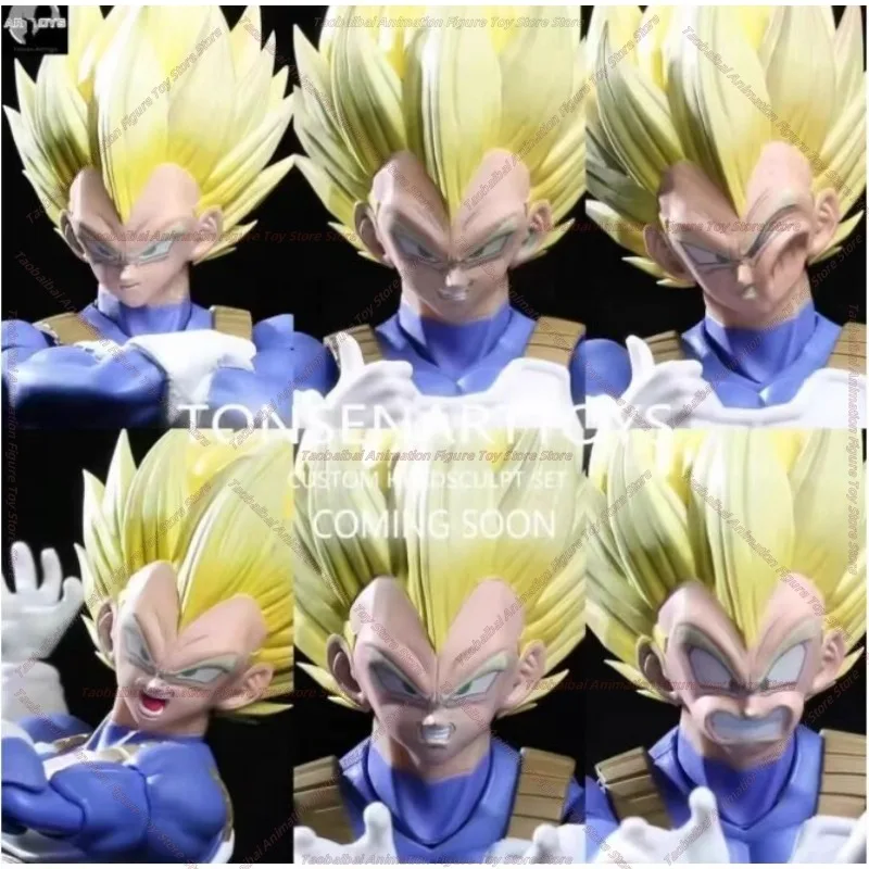 Tonsenarttoys [Mushroom?] Four - Model Kit Vegeta のレビューと価格