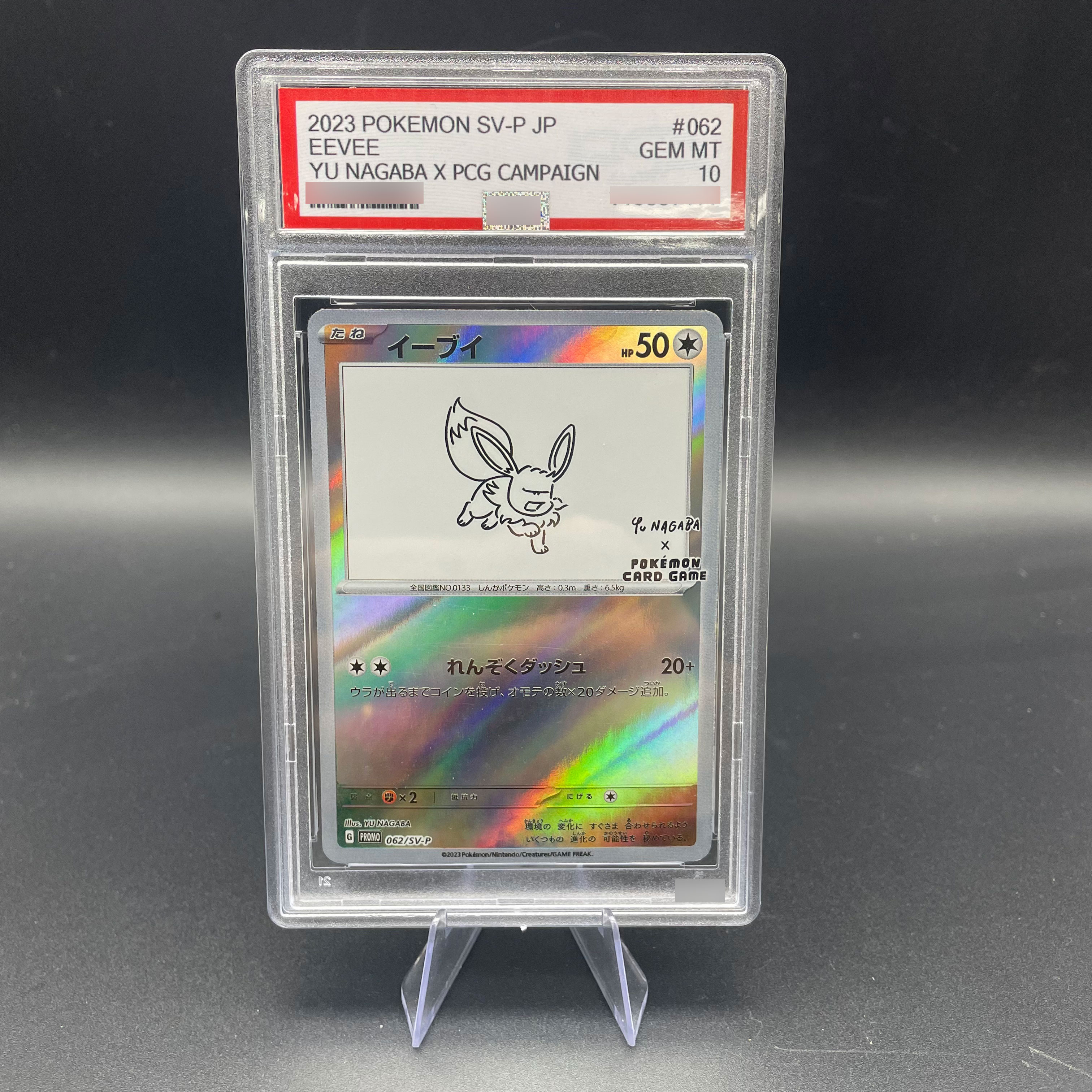 DIY Anime 2023 PTCG SV-P Japan - Model Kit Anime のレビューと価格