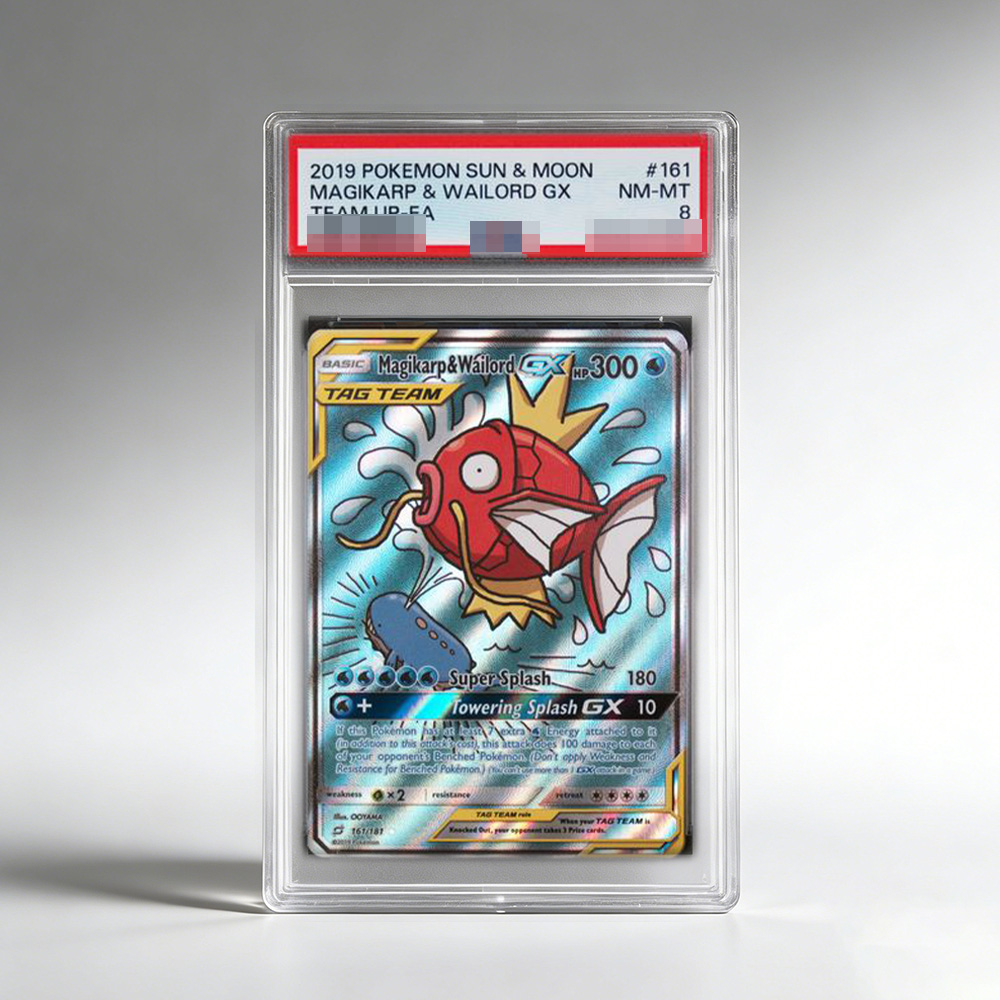DIY PTCG Rating Collection Car - Model Kit Anime のレビューと価格