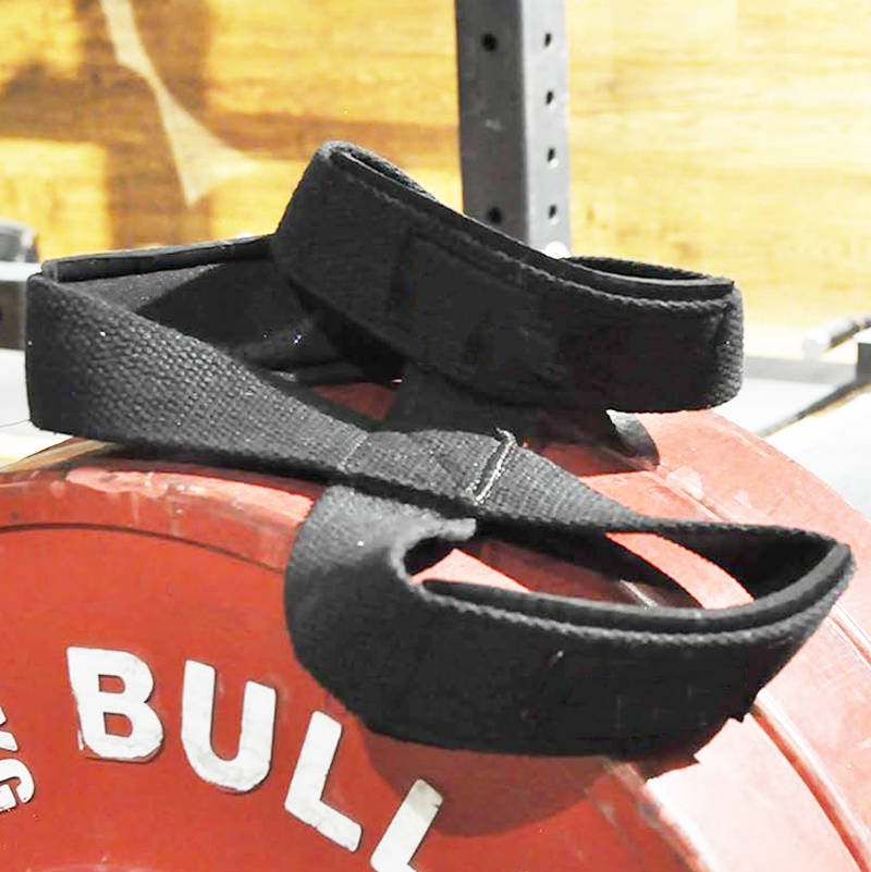 Power Grip Powerlifting Gym Wr - Model Kit Chainsaw Man のレビューと価格