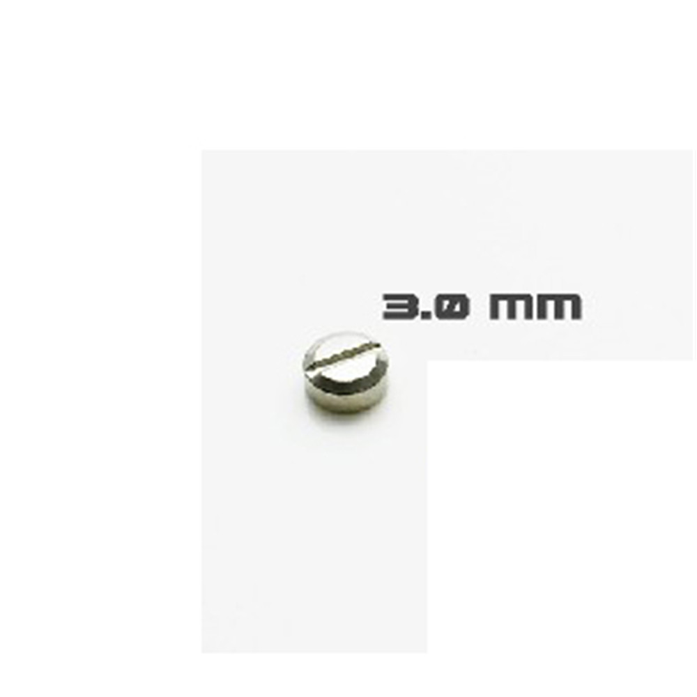 30pcs Armored Screws Model Sup - Gundam Model Mg のレビューと価格