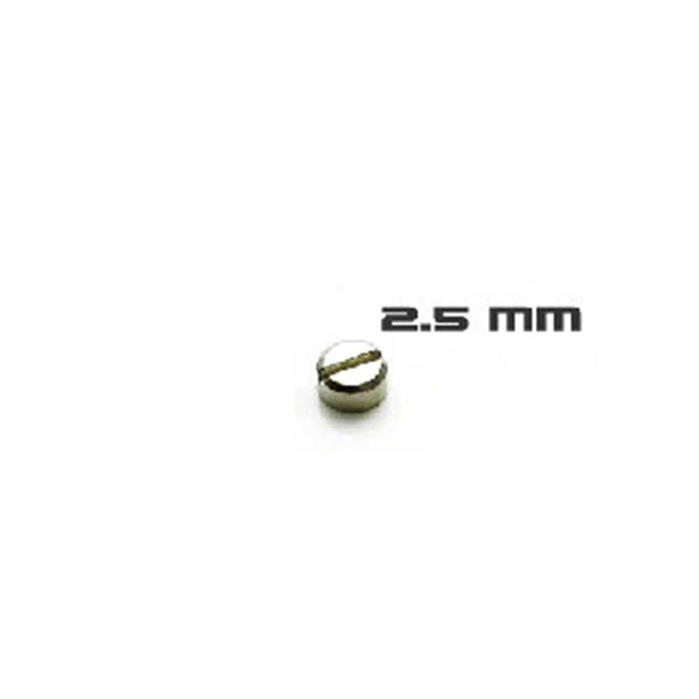 30pcs Armored Screws Model Sup - Gundam Model Mg のレビューと価格