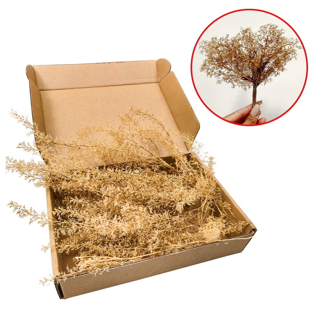 Miniature Dry Grass Model Thor - Model Kit Locomotive のレビューと価格