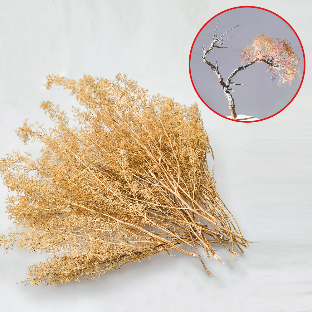 Miniature Dry Grass Model Thor - Model Kit Locomotive のレビューと価格