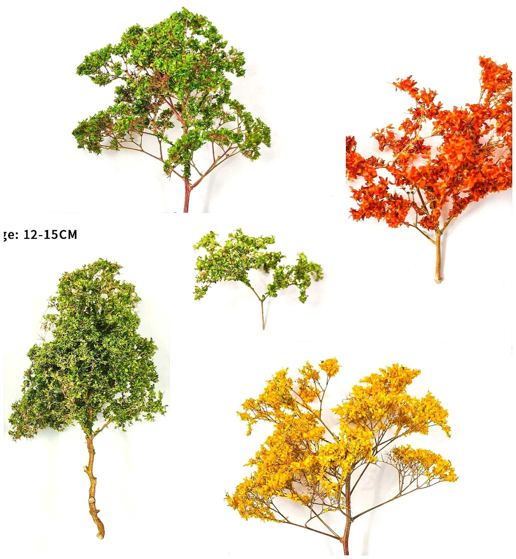Miniature Dry Grass Model Thor - Model Kit Locomotive のレビューと価格