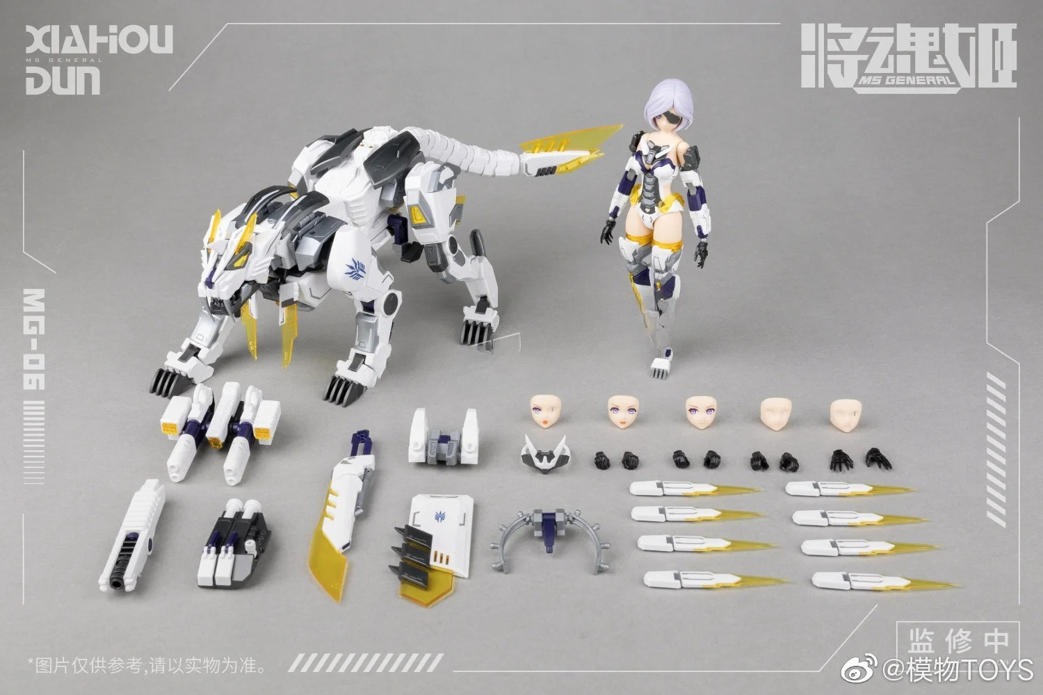 Genuine Mobile Suit Girl Anime - Model Kit Ms General のレビューと価格