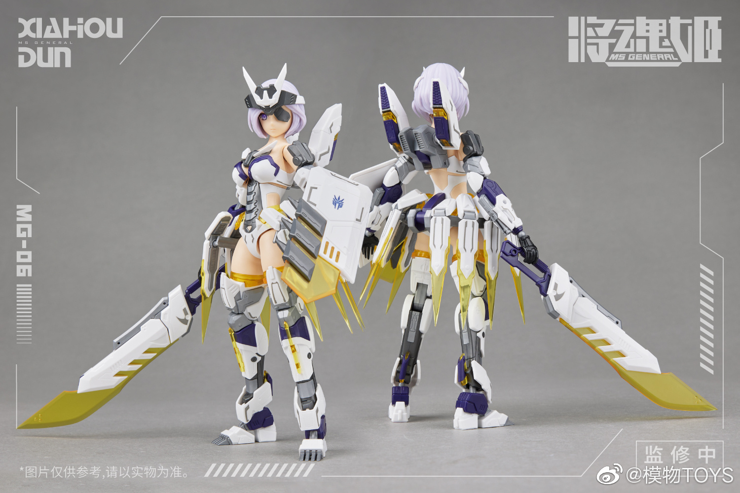 Genuine Mobile Suit Girl Anime - Model Kit Ms General のレビューと価格