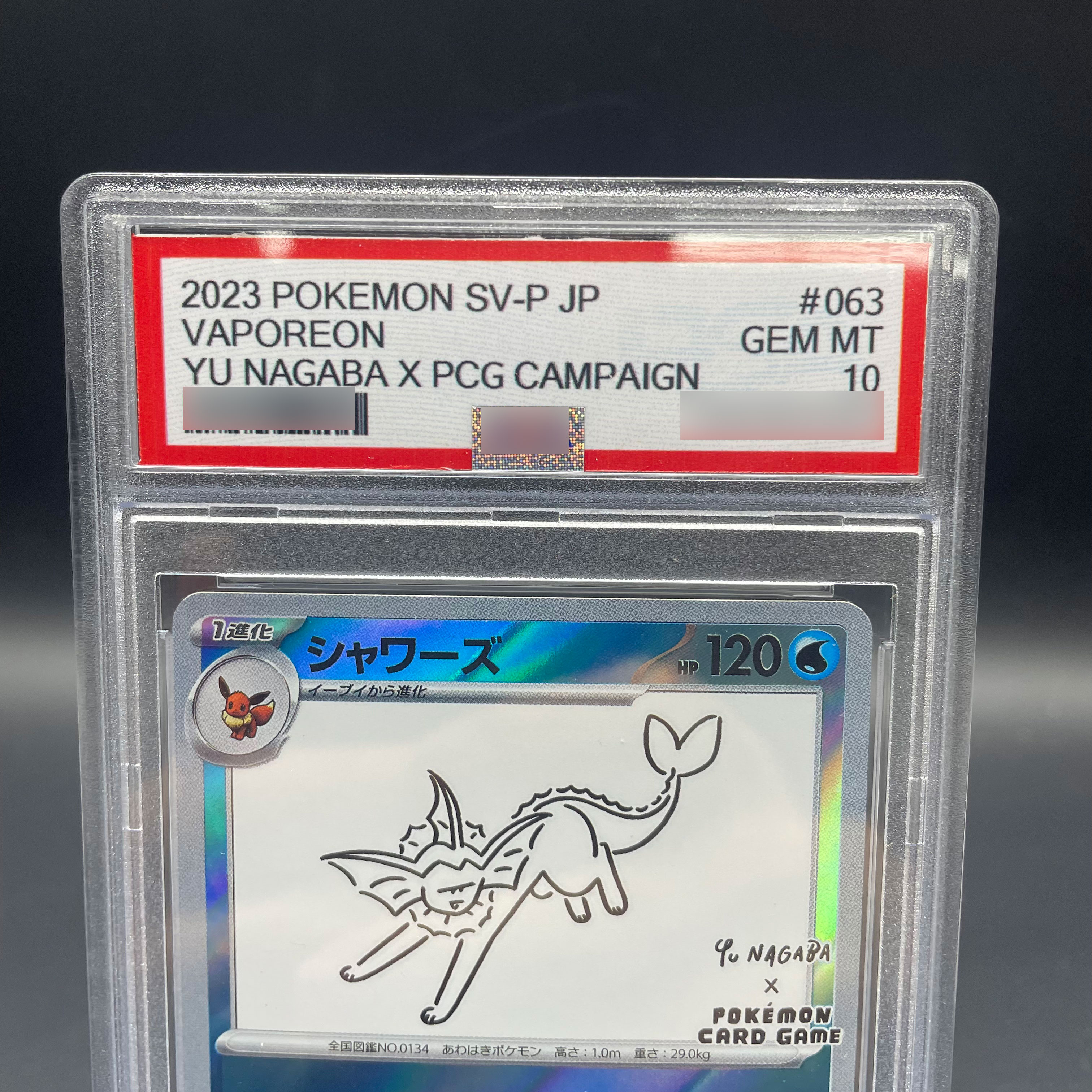 DIY Anime PTCG Self-made 2023  - Model Kit Anime のレビューと価格